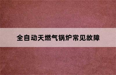 全自动天燃气锅炉常见故障