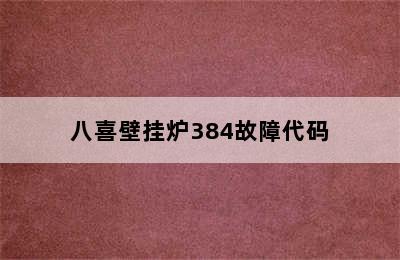 八喜壁挂炉384故障代码