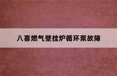 八喜燃气壁挂炉循环泵故障