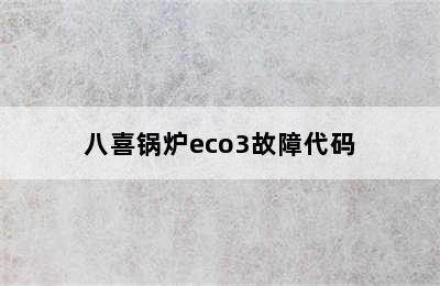 八喜锅炉eco3故障代码