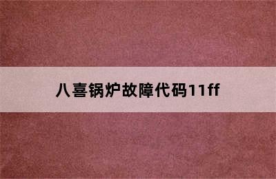 八喜锅炉故障代码11ff