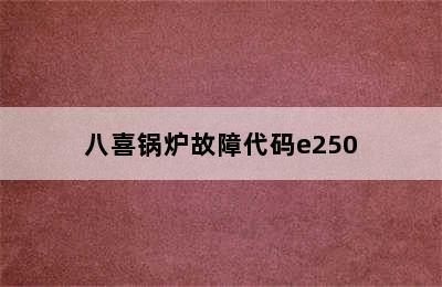 八喜锅炉故障代码e250