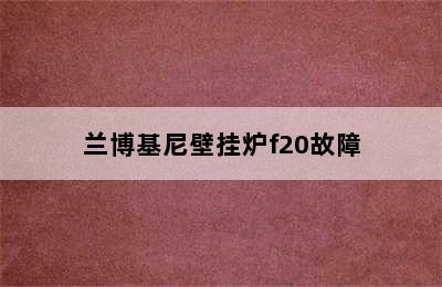 兰博基尼壁挂炉f20故障