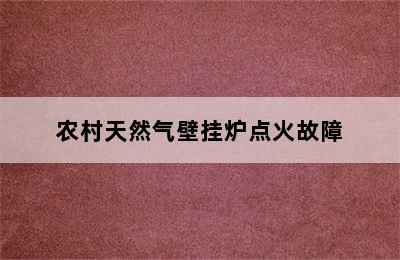 农村天然气壁挂炉点火故障