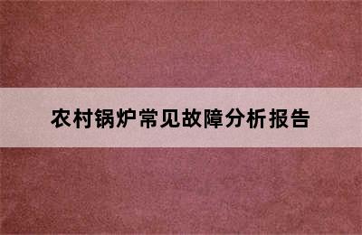 农村锅炉常见故障分析报告