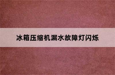 冰箱压缩机漏水故障灯闪烁