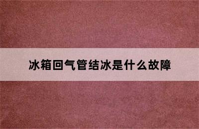 冰箱回气管结冰是什么故障