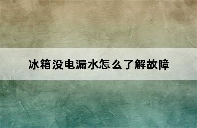 冰箱没电漏水怎么了解故障