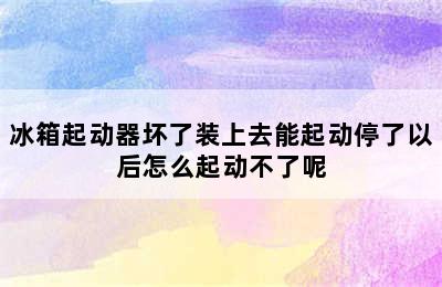 冰箱起动器坏了装上去能起动停了以后怎么起动不了呢