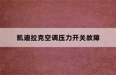 凯迪拉克空调压力开关故障