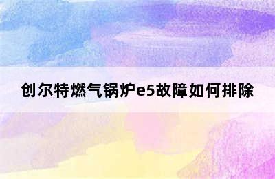 创尔特燃气锅炉e5故障如何排除