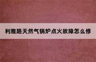 利雅路天然气锅炉点火故障怎么修