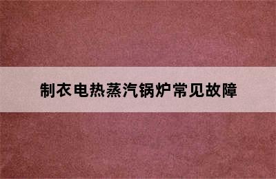 制衣电热蒸汽锅炉常见故障