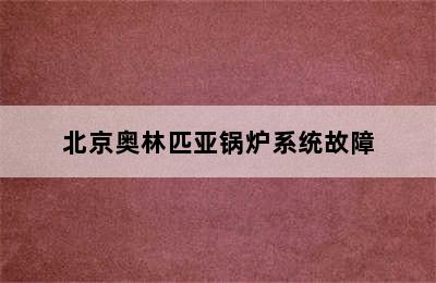 北京奥林匹亚锅炉系统故障