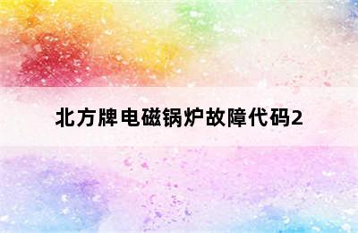 北方牌电磁锅炉故障代码2