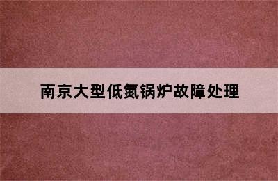 南京大型低氮锅炉故障处理