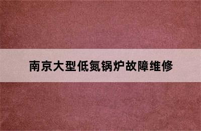 南京大型低氮锅炉故障维修