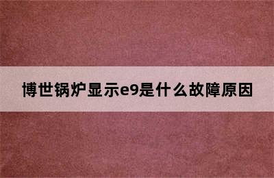 博世锅炉显示e9是什么故障原因