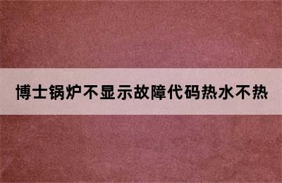 博士锅炉不显示故障代码热水不热