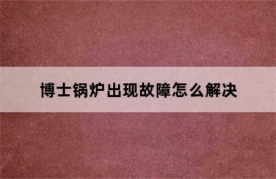 博士锅炉出现故障怎么解决