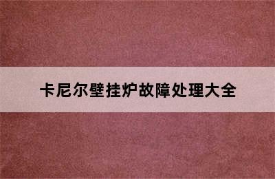 卡尼尔壁挂炉故障处理大全