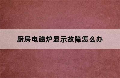 厨房电磁炉显示故障怎么办