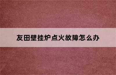 友田壁挂炉点火故障怎么办