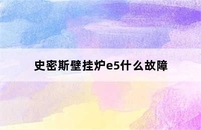 史密斯壁挂炉e5什么故障