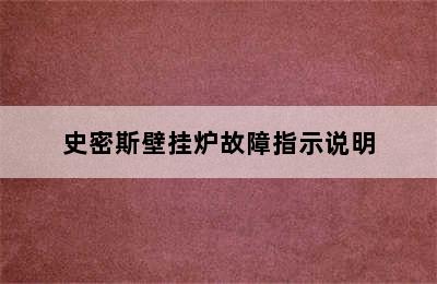 史密斯壁挂炉故障指示说明