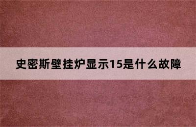 史密斯壁挂炉显示15是什么故障