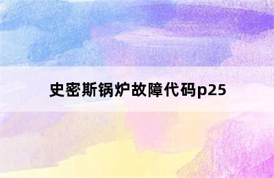 史密斯锅炉故障代码p25