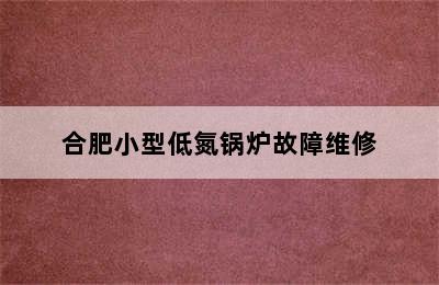 合肥小型低氮锅炉故障维修