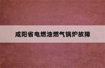 咸阳省电燃油燃气锅炉故障