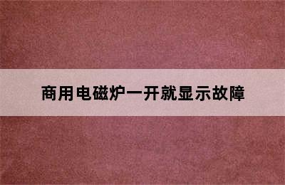 商用电磁炉一开就显示故障