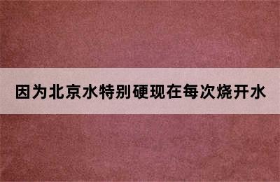 因为北京水特别硬现在每次烧开水