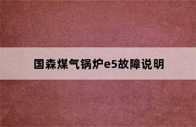 国森煤气锅炉e5故障说明