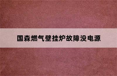 国森燃气壁挂炉故障没电源