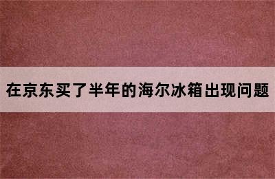 在京东买了半年的海尔冰箱出现问题