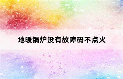 地暖锅炉没有故障码不点火