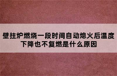 壁拄炉燃烧一段时间自动熄火后温度下降也不复燃是什么原因