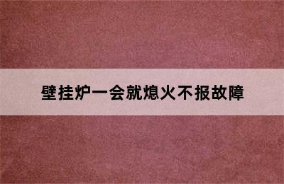 壁挂炉一会就熄火不报故障