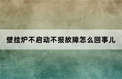 壁挂炉不启动不报故障怎么回事儿