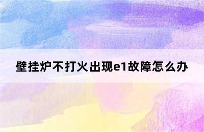 壁挂炉不打火出现e1故障怎么办