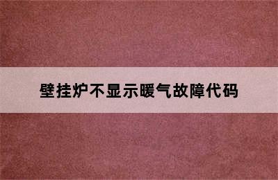 壁挂炉不显示暖气故障代码