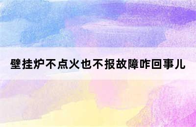 壁挂炉不点火也不报故障咋回事儿