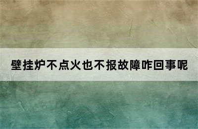 壁挂炉不点火也不报故障咋回事呢