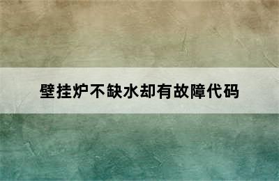 壁挂炉不缺水却有故障代码