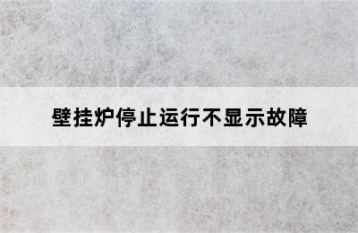 壁挂炉停止运行不显示故障