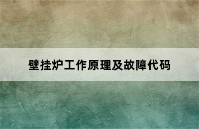 壁挂炉工作原理及故障代码