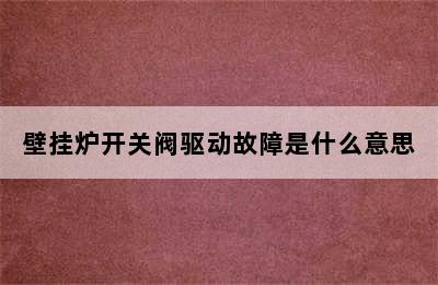 壁挂炉开关阀驱动故障是什么意思